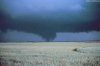 Cordula's Web. NOAA. The Mayfield Tornado.