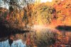 Cordula's Web. NOAA. Early morning fog and autumn colors reflected in the Patuxent River at Wayson's Corner.