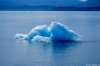 Cordula's Web. NOAA. Small ice berg. Tracy Arm area, Stephens Passage. Southeast Alaska.