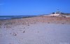 Cordula's Web. NOAA. Black Beach, West Falmouth. South coast of Massachusetts.
