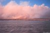 Cordula's Web. NOAA. Controlled Burn. Point au Fer Island, Louisiana.