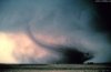 Cordula's Web. NOAA. Tornado near Cordell, Oklahoma.