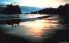 Cordula's Web. NOAA. Sunset along an Olympic Coast beach.