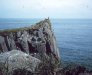 Cordula's Web. NOAA. Promontory on Sutwik Island in Shelikof Strait. Southwest Alaska.