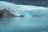 Cordula's Web. NOAA. Riggs Glacier at the east end of Muir Inlet.