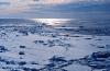 Cordula's Web. NOAA. Looking over broken sea ice to open water.