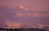 Cordula's Web. NOAA. Snowy Pinky Mountain.