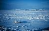 Cordula's Web. NOAA. Ice studies west of Sledge Island just west of Norton Sound.