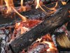 Cordula's Web. PDPHOTO.ORG. Looking in the Fire. Beltaine.