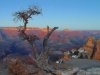 Cordula's Web. PDPHOTO.ORG. Grand Canyon.