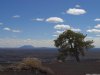 Cordula's Web. PDPHOTO.ORG. Desert of Lava.