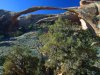 Cordula's Web. PDPHOTO.ORG. Landscape Arch at Arches National Park, Utah.