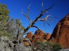 Cordula's Web. PDPHOTO.ORG. Arches National Park, Utah.