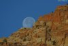Cordula's Web. PDPHOTO.ORG. Moonrise over the cliffs in Zion.