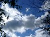 Cordula's Web. Winter Sky.