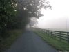 Cordula's Web. Wikicommons. Fog on a Road.